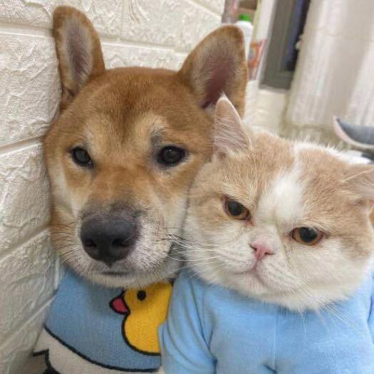 TUBAOSHU首饰工作室