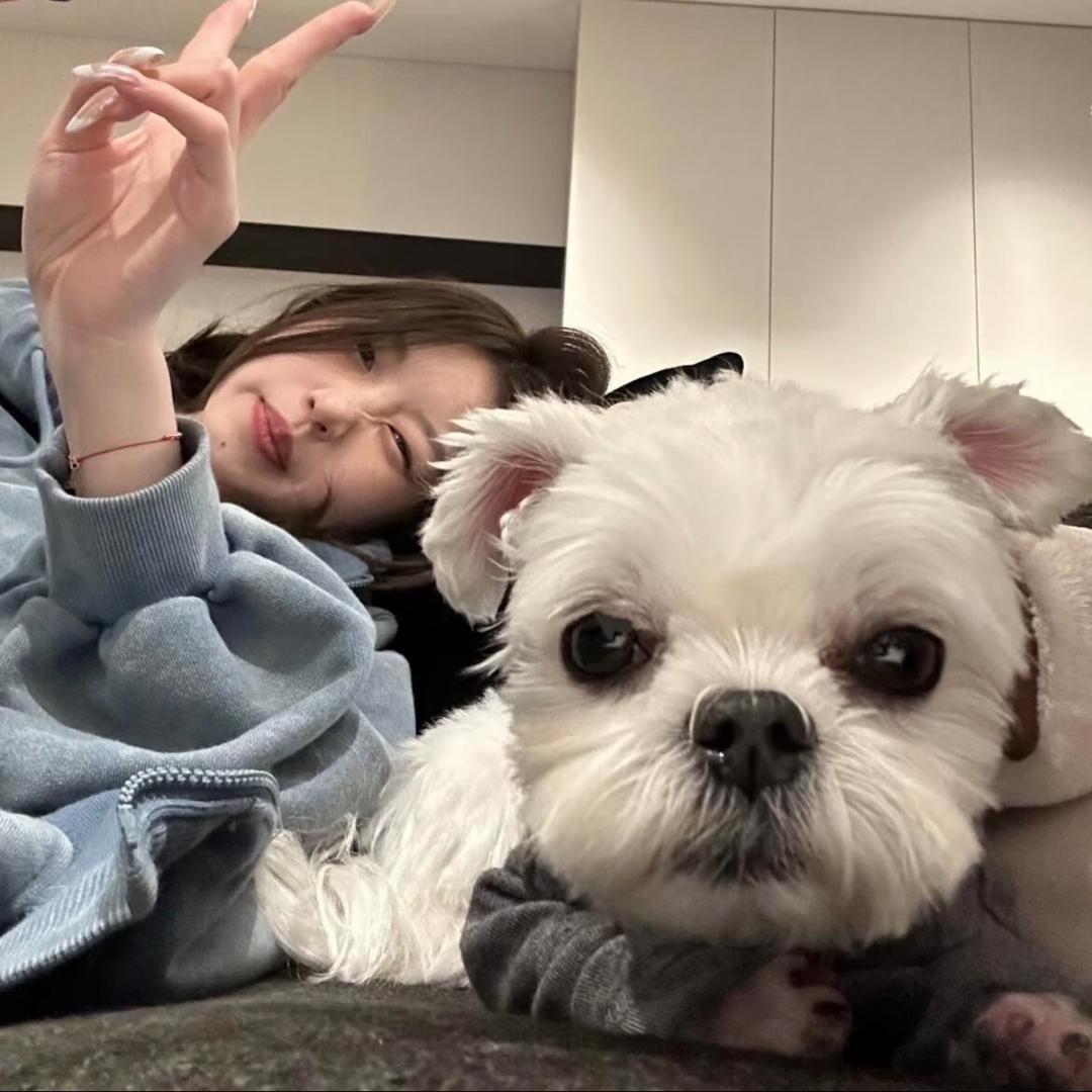 -🐰