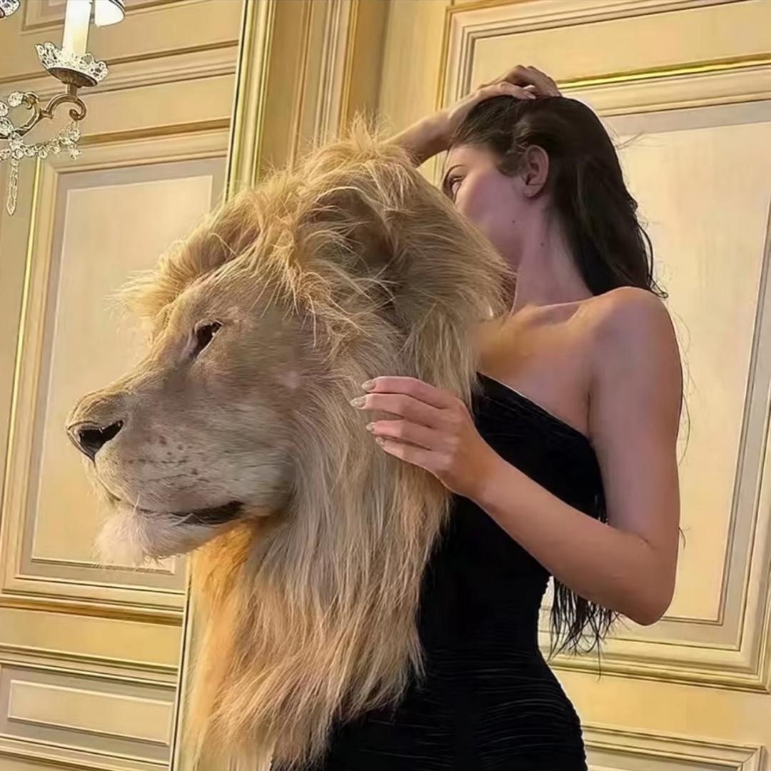 明天见_