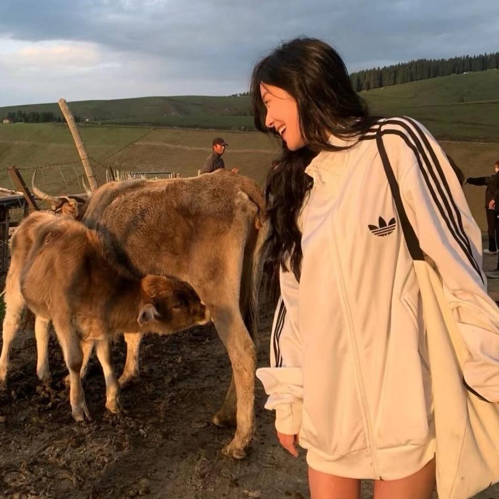 ㅤ 说什么晚安  ㅤ ㅤ