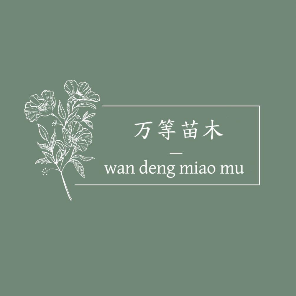 万等苗木专卖店