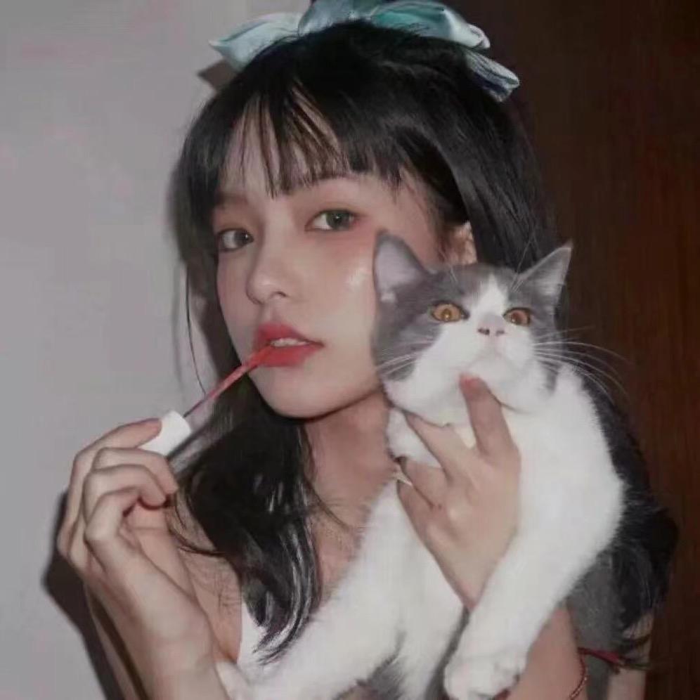 苦茶子啊