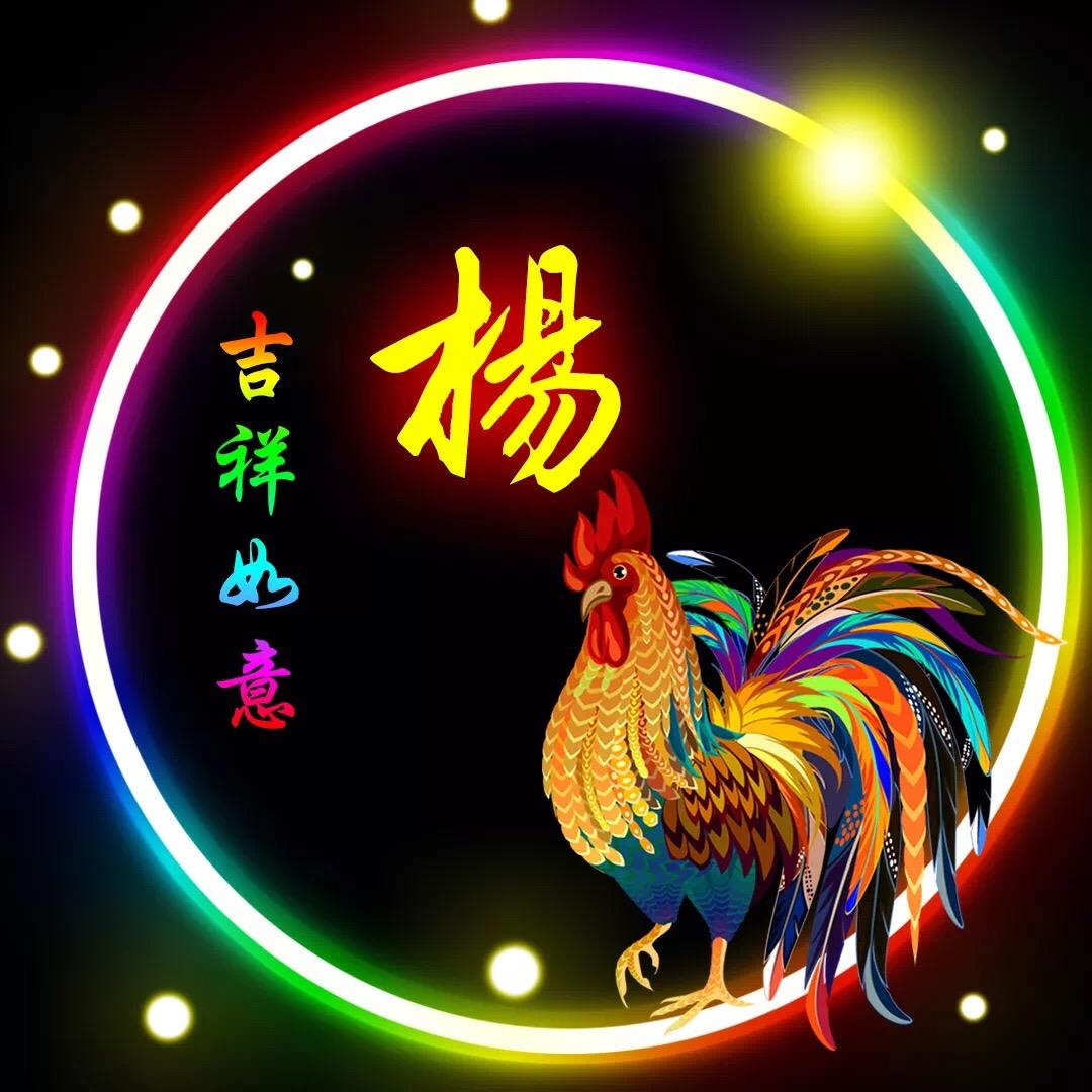 A杨哥