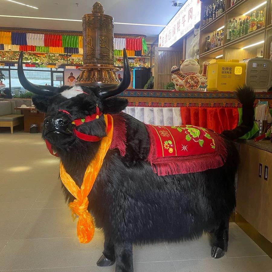 青藏牦牛肉(永康店)