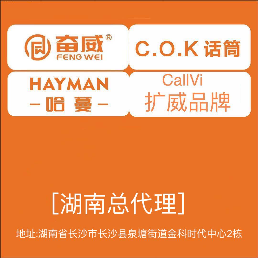 长沙朗声音响设备批发