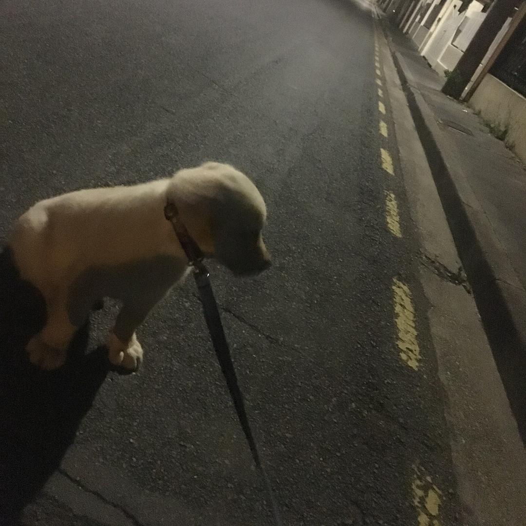 暗、影🐣头像