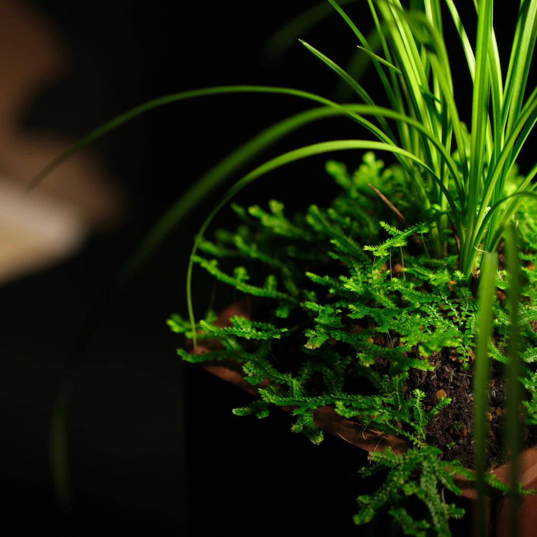 赵红亚玉雕艺术