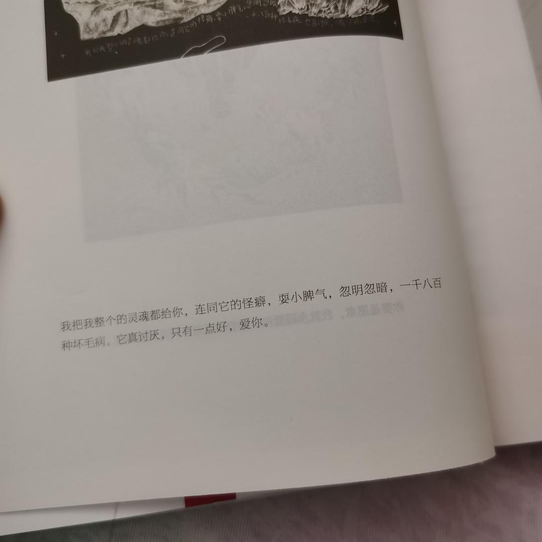 麻辣小龙虾虾虾