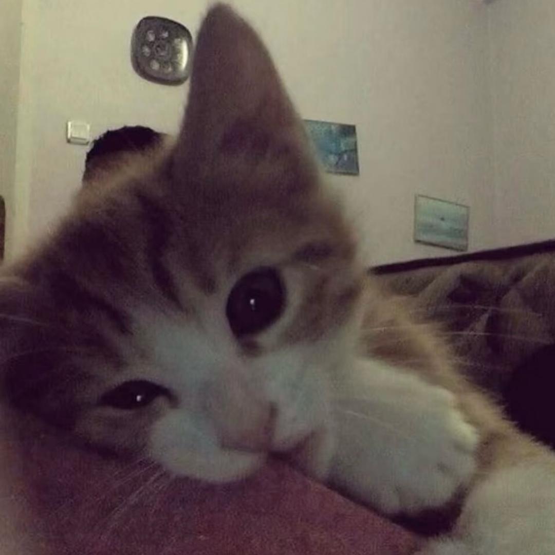 我总讨厌一个人