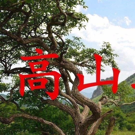福清市高山镇