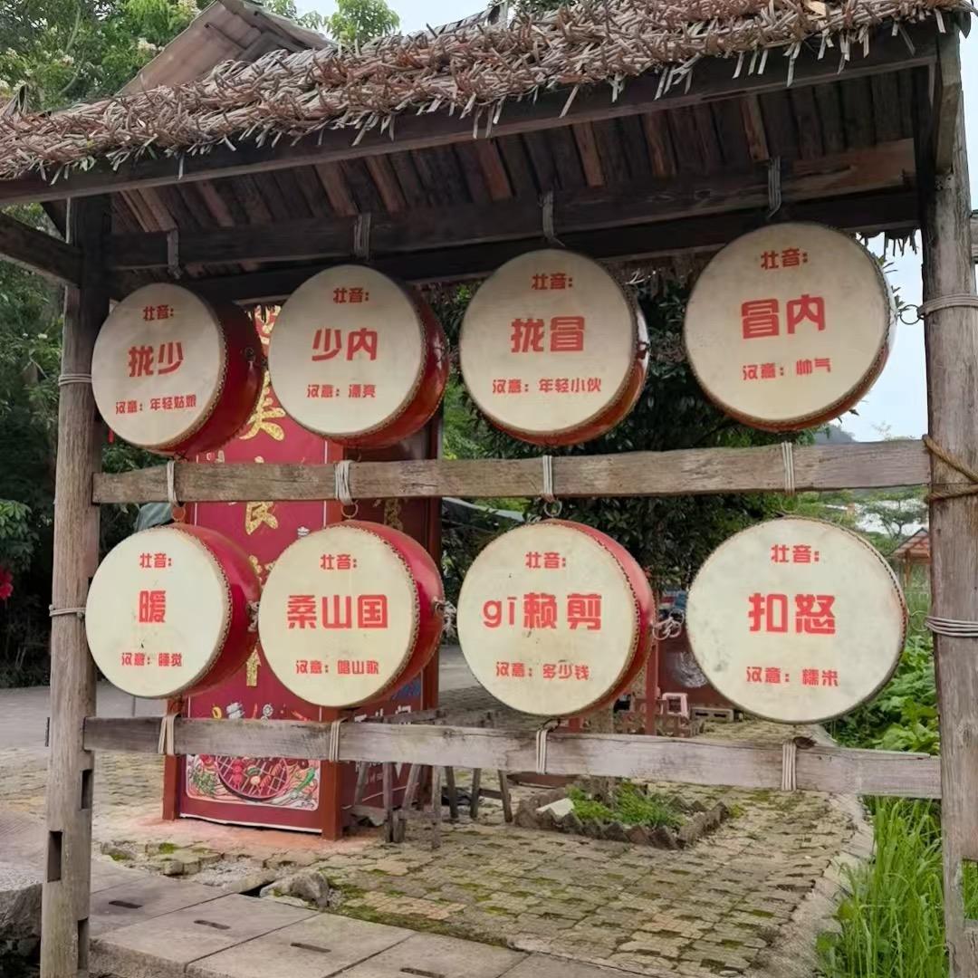 陇念-7号