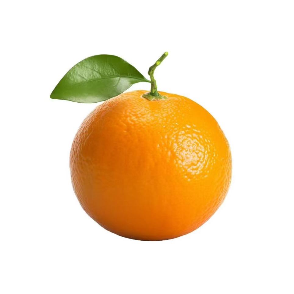 橙子