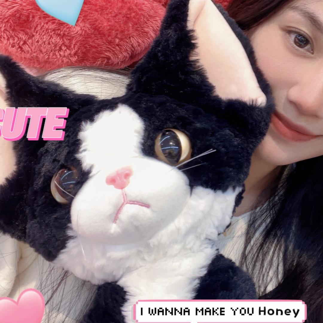 布丁是一只小猫咪啦～