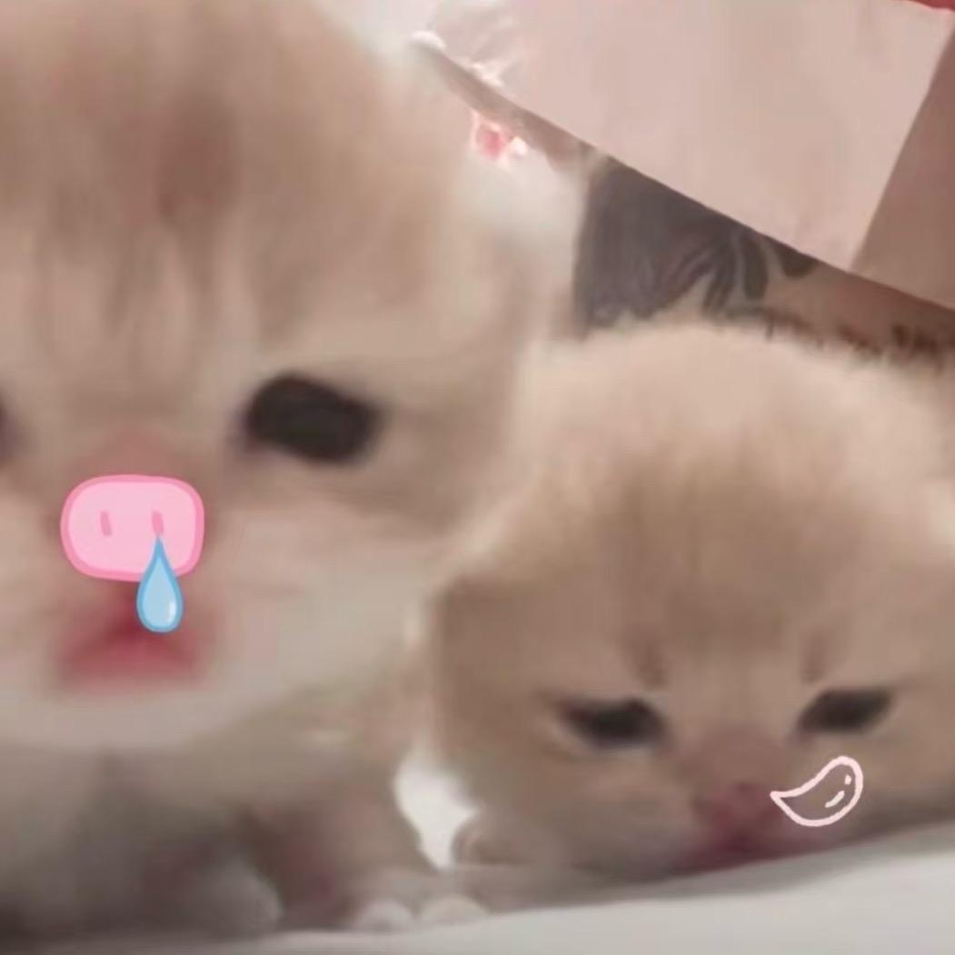 心墙