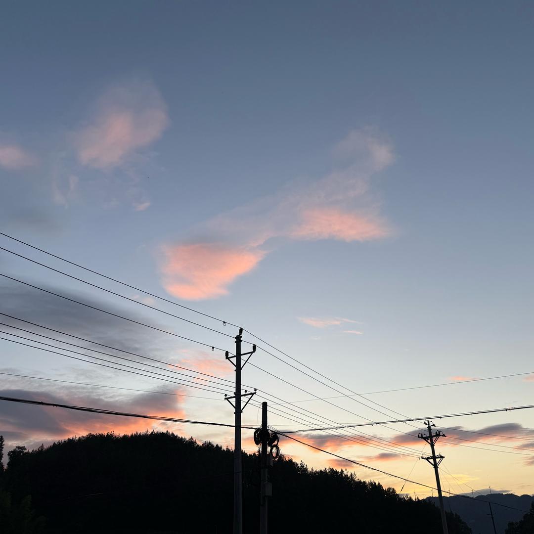 缈倾
