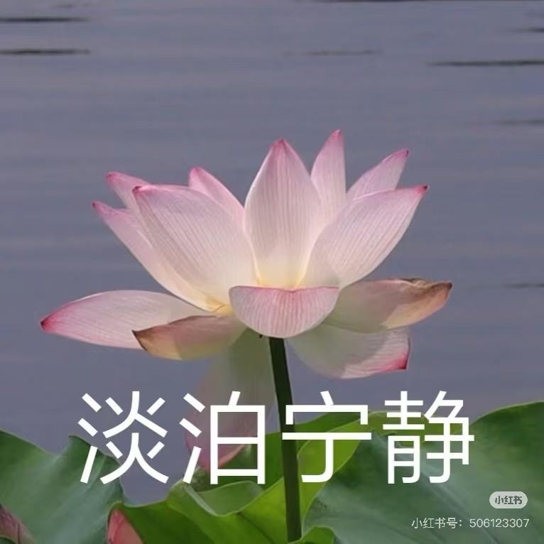 。。。.