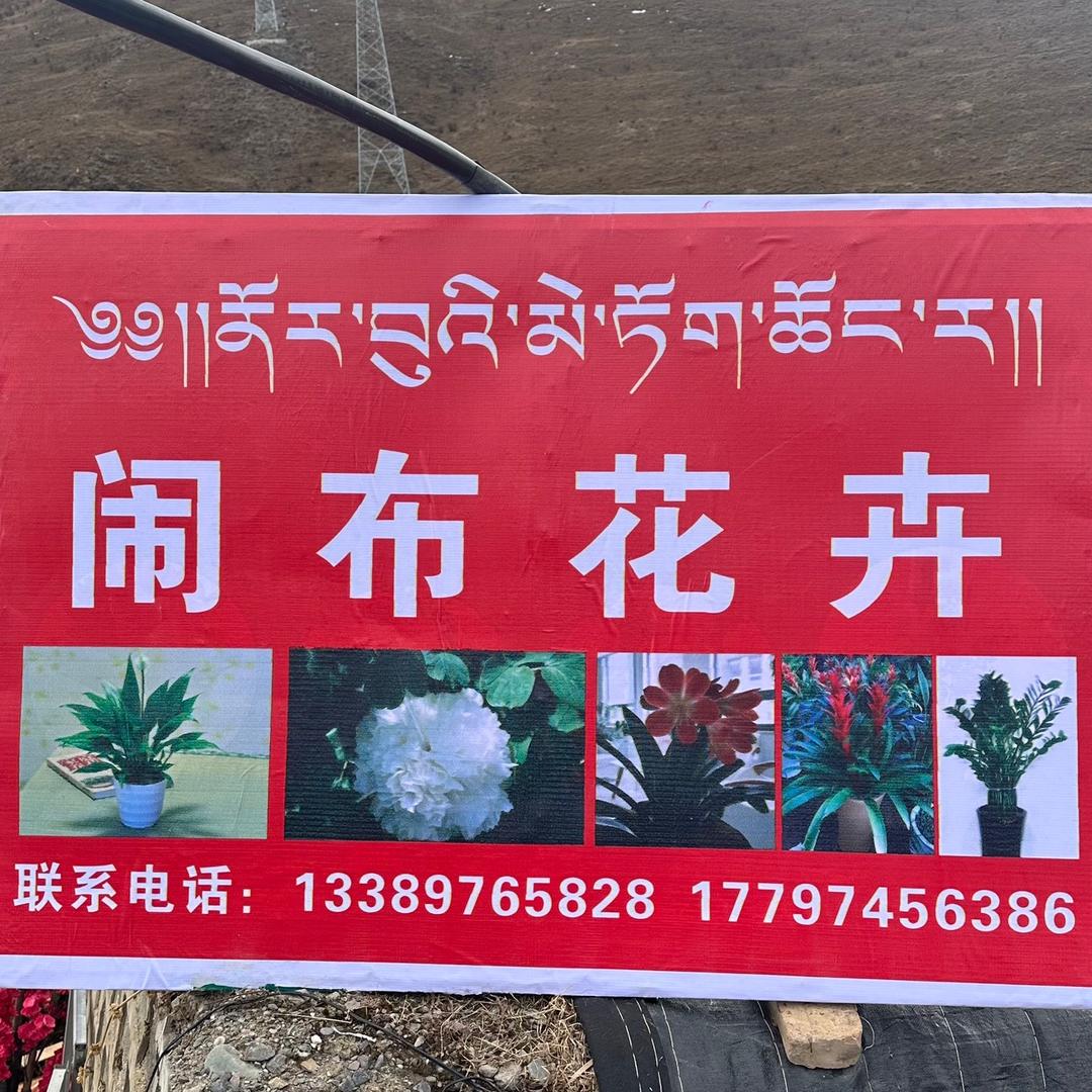 闹布花店