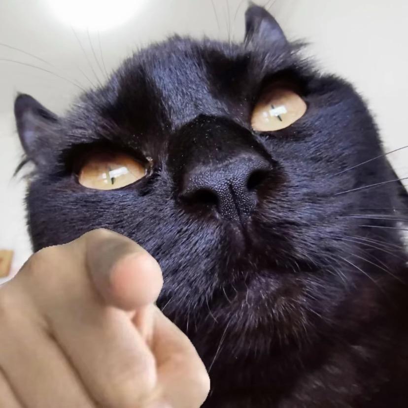爱吃地蛋 7