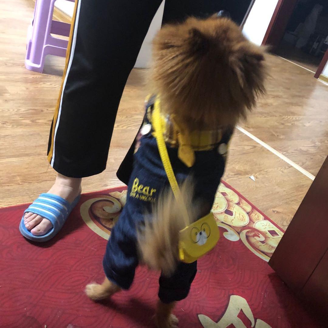 原来是家手表店