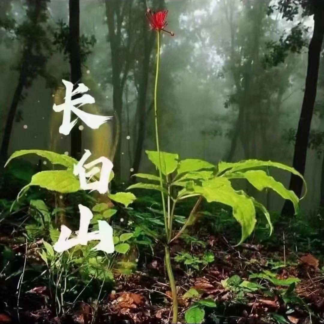 时吉未农副产品专卖店