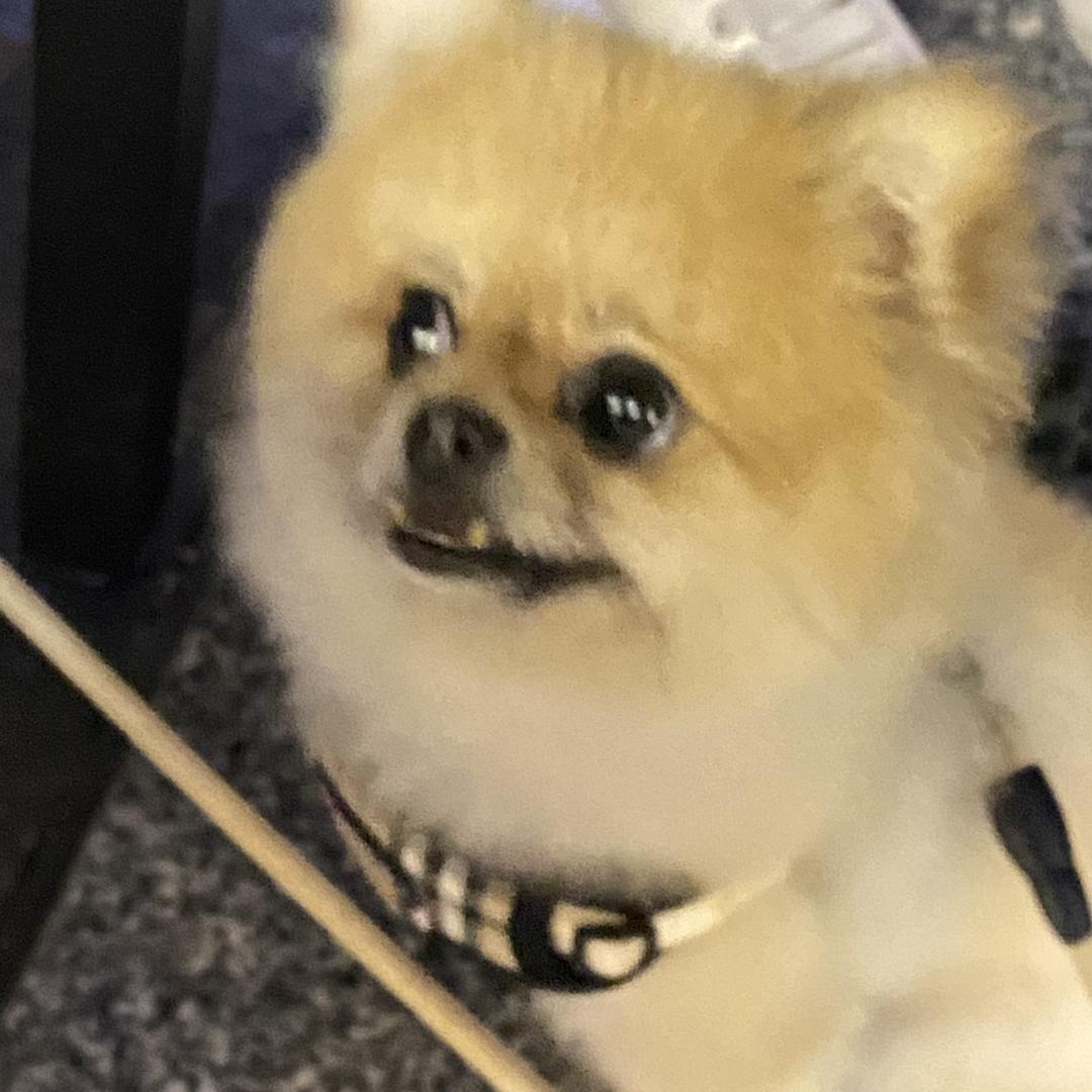 Lllllll