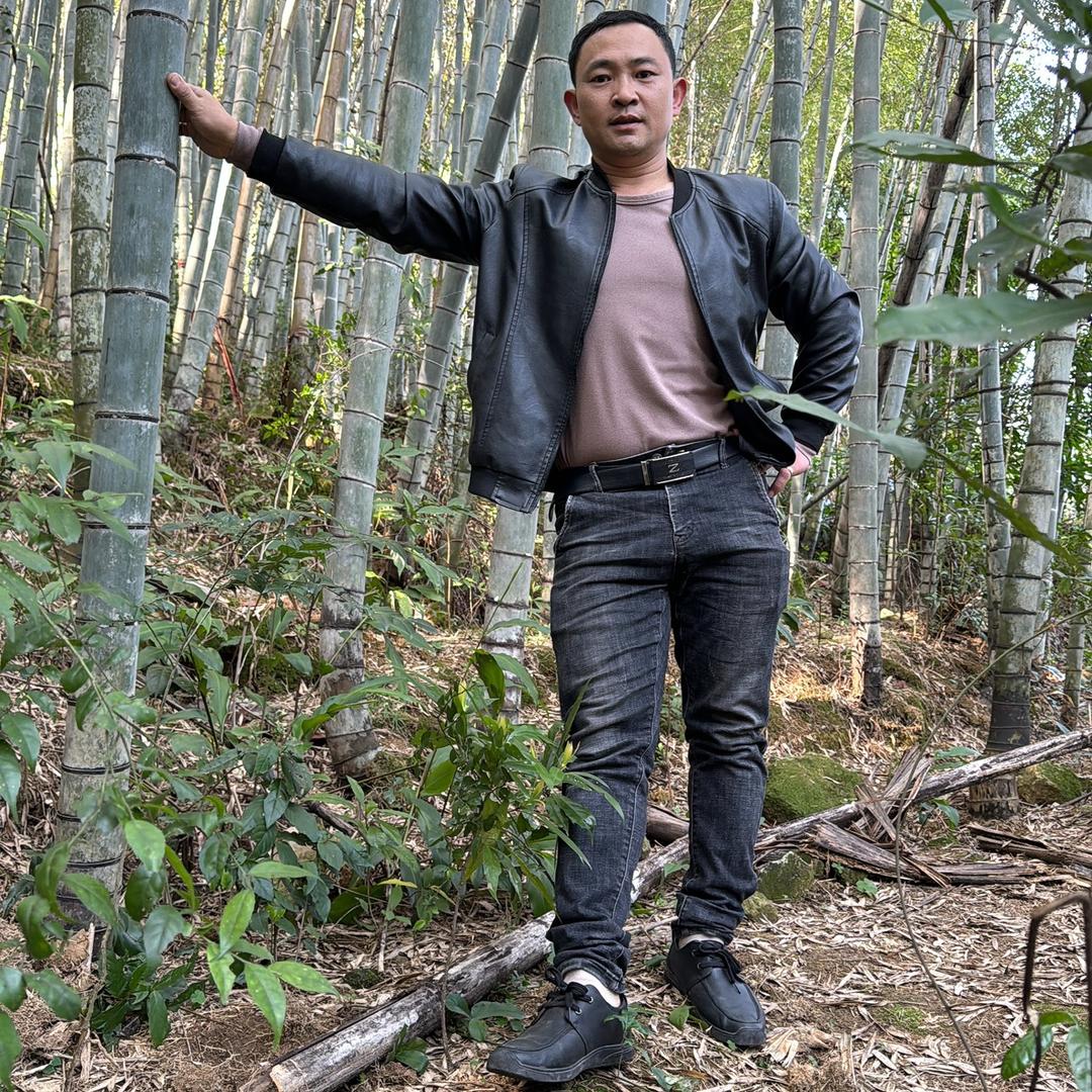 红灯👭任👭我闯