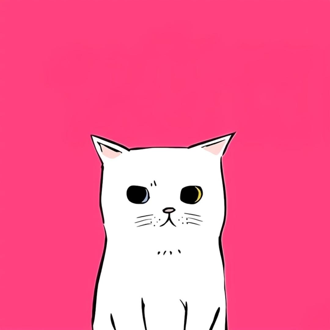 蒋范范