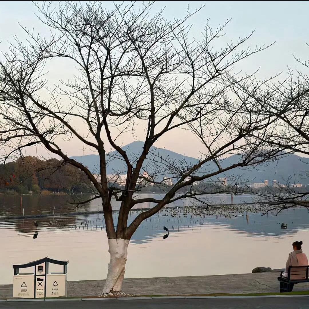 大顺顺