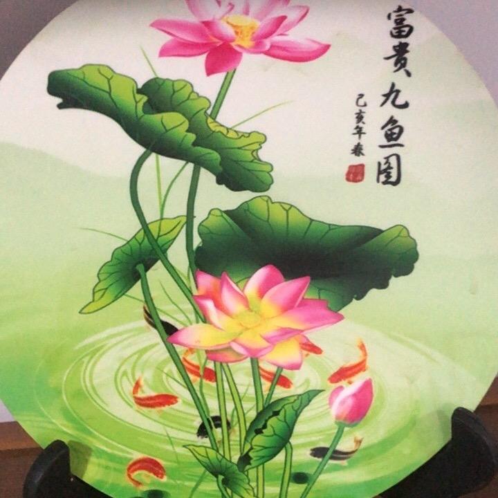 纵观世界🌏