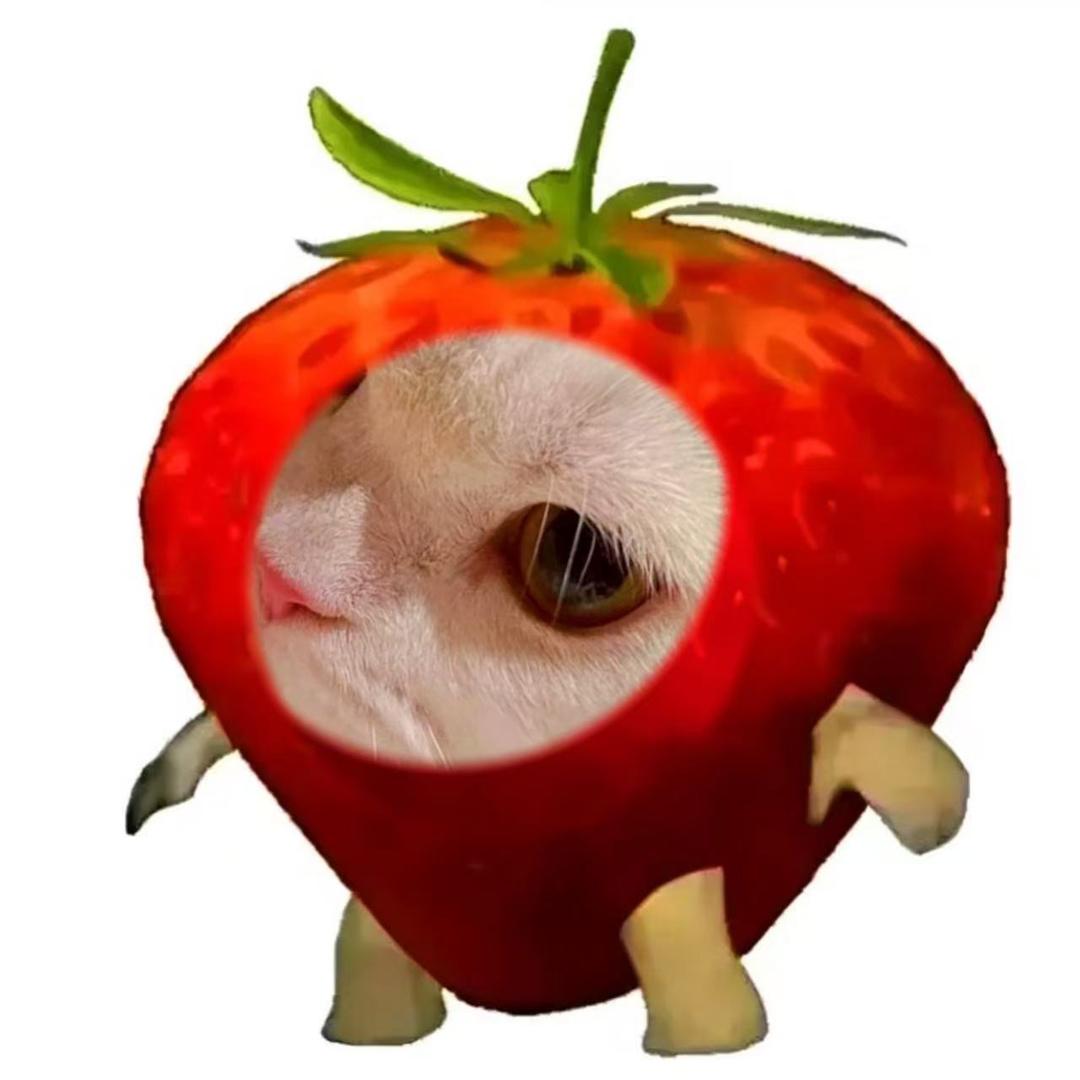 何以解忧唯有绿卉