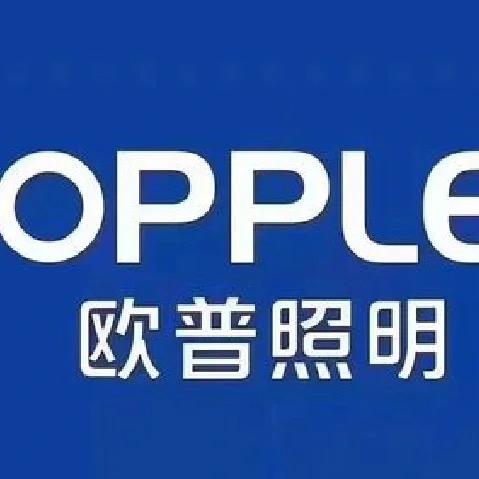 欧普照明官方旗舰店智能浴霸