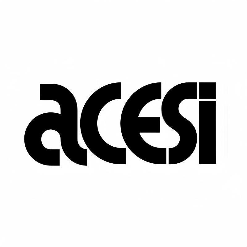 ACESI亚太店