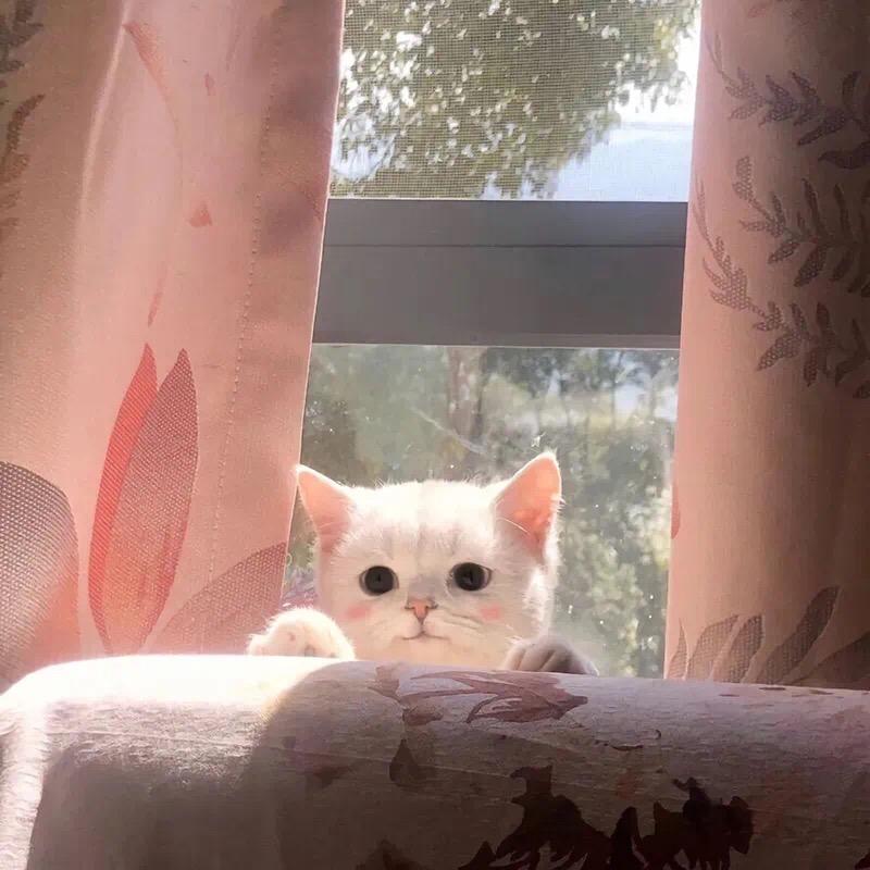 🌈⋇琦