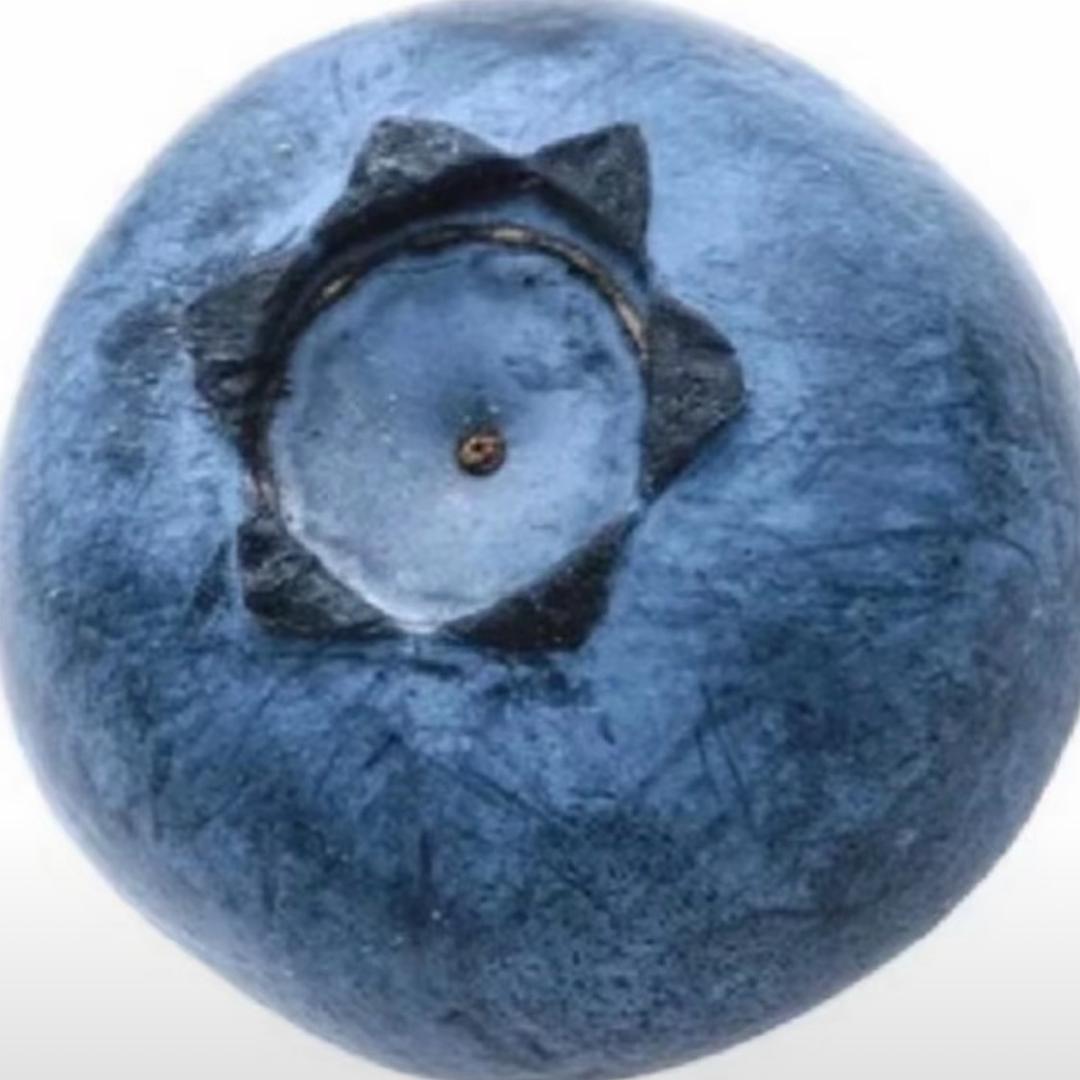 橘橘橘橘子肉肉