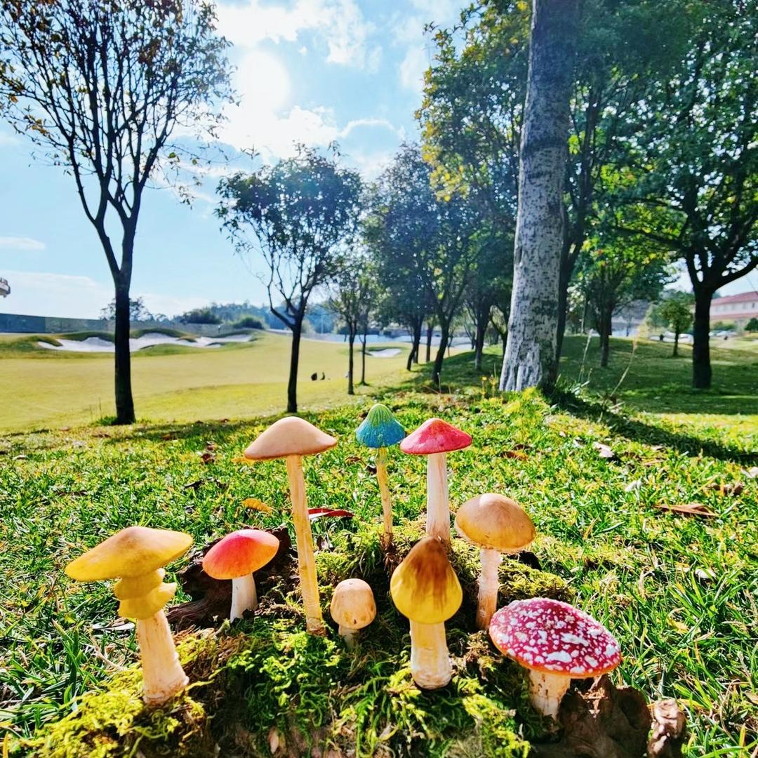 创茗生鲜超市特产