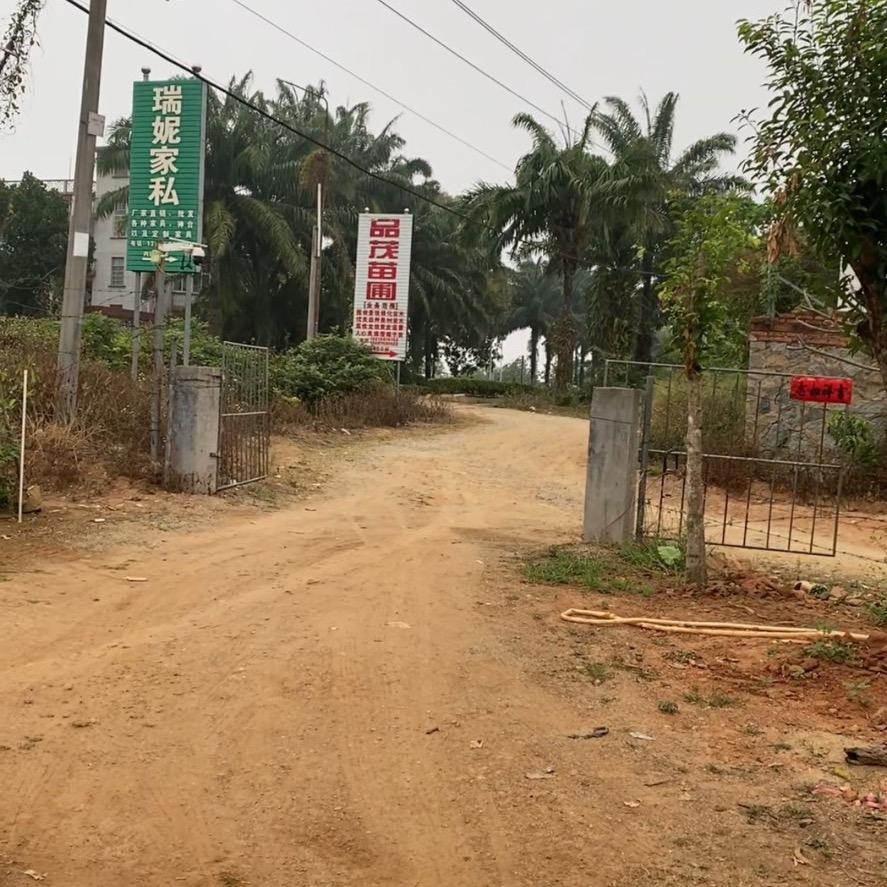 儋州品茂苗圃小吴