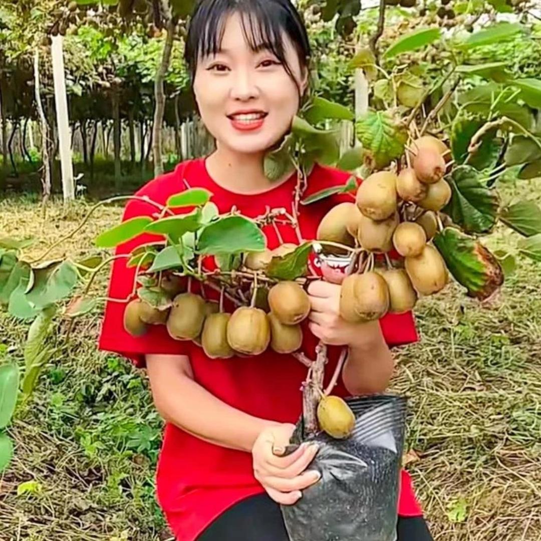 可心