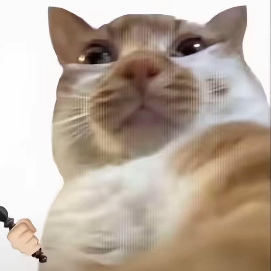 Mr-7