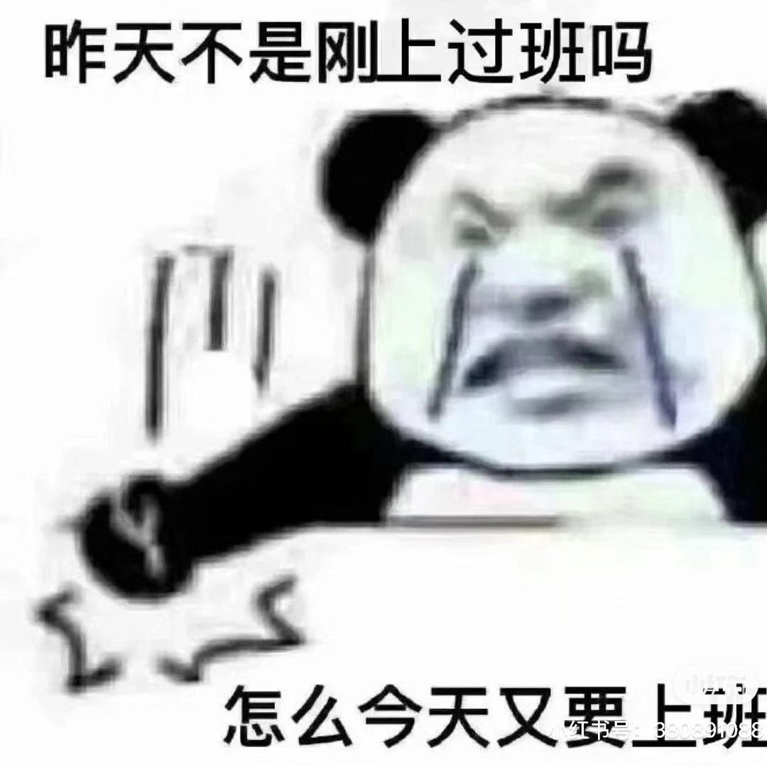 金桓宇