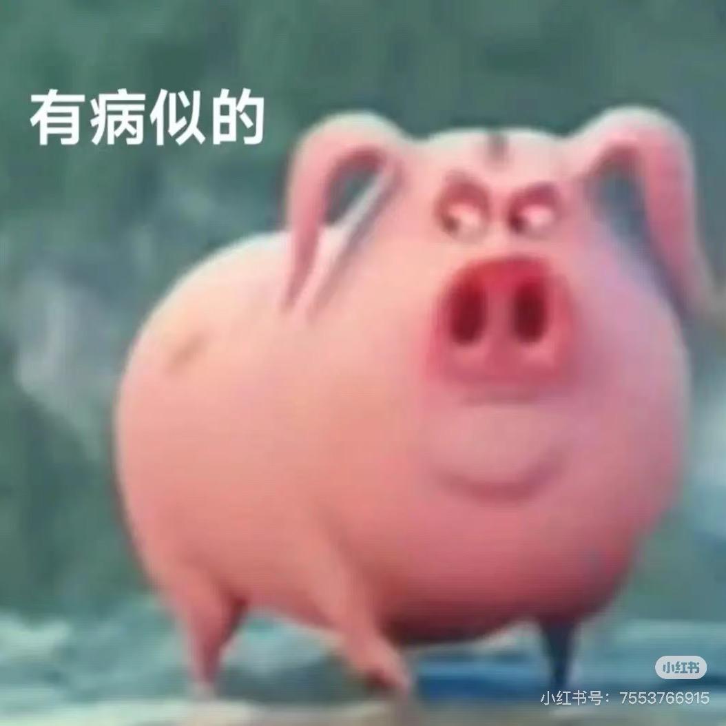 芝呜猪
