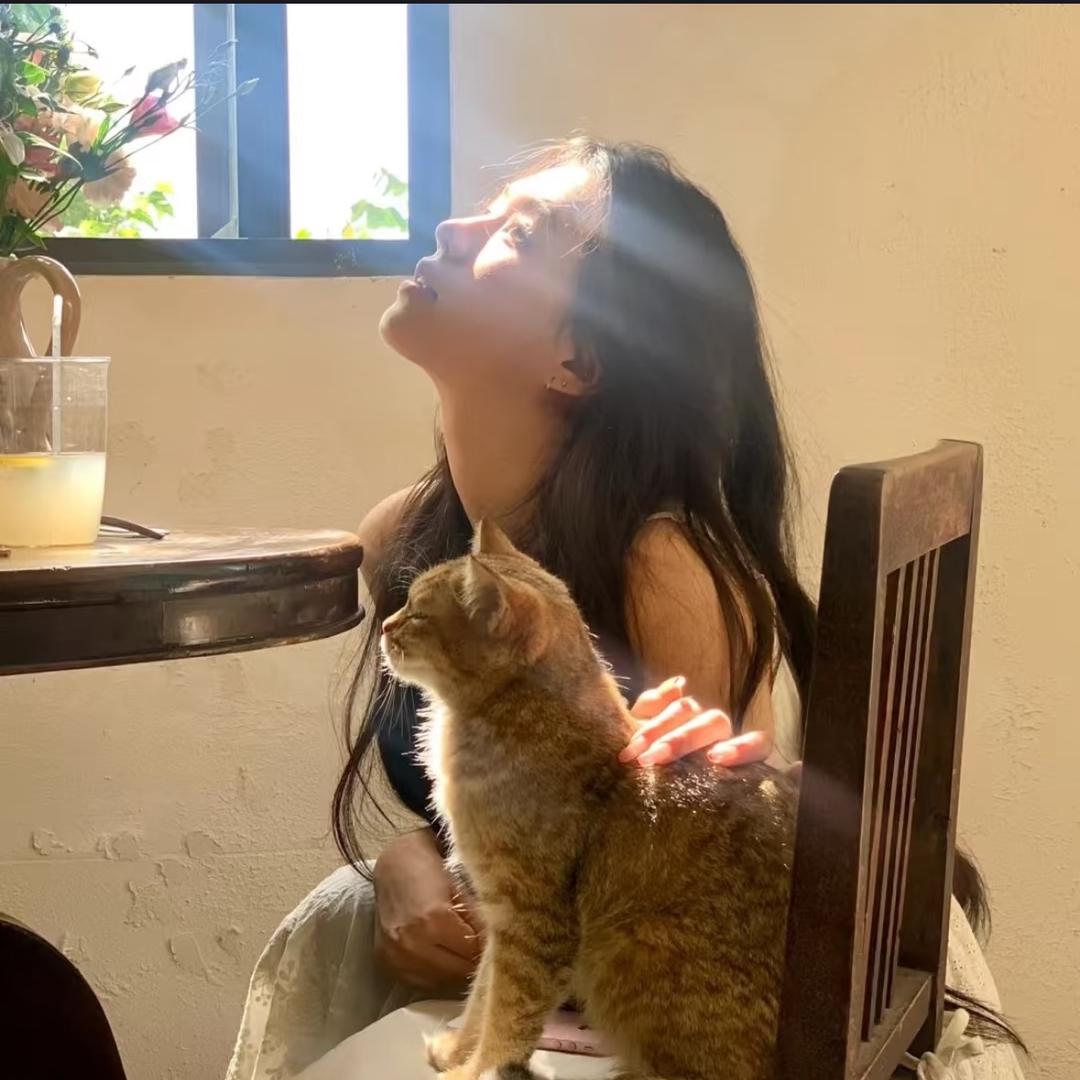 · ✨合法捣蛋✨