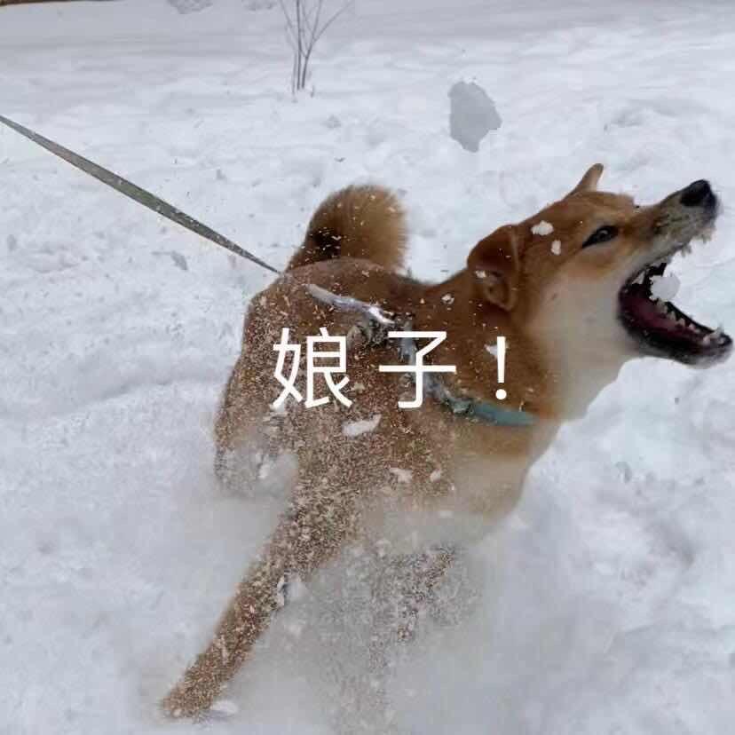 亚历山大猛男ŋ