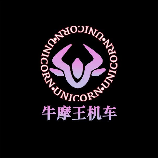 牛摩王机车装备