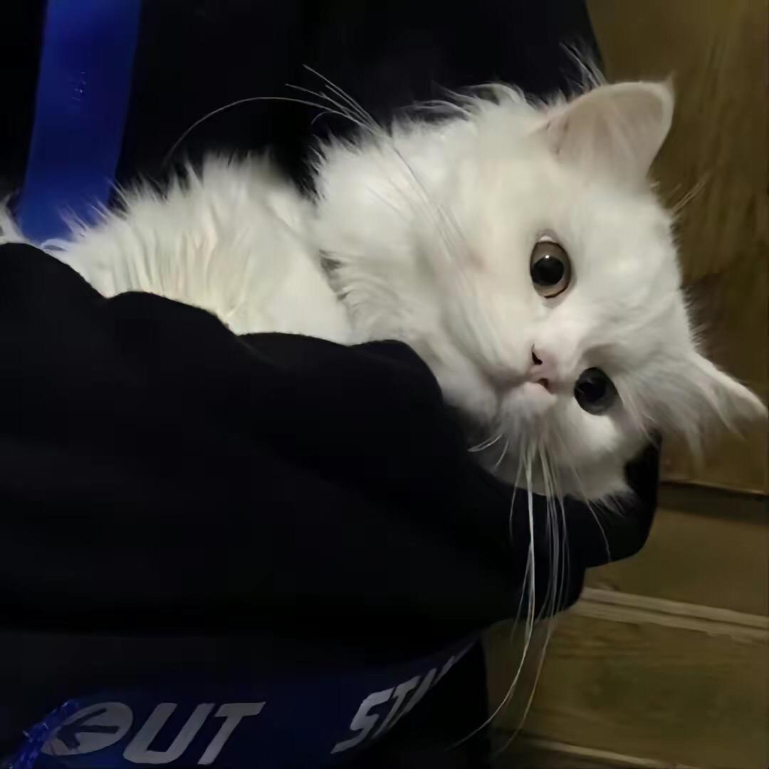 八块腹肌好牛！