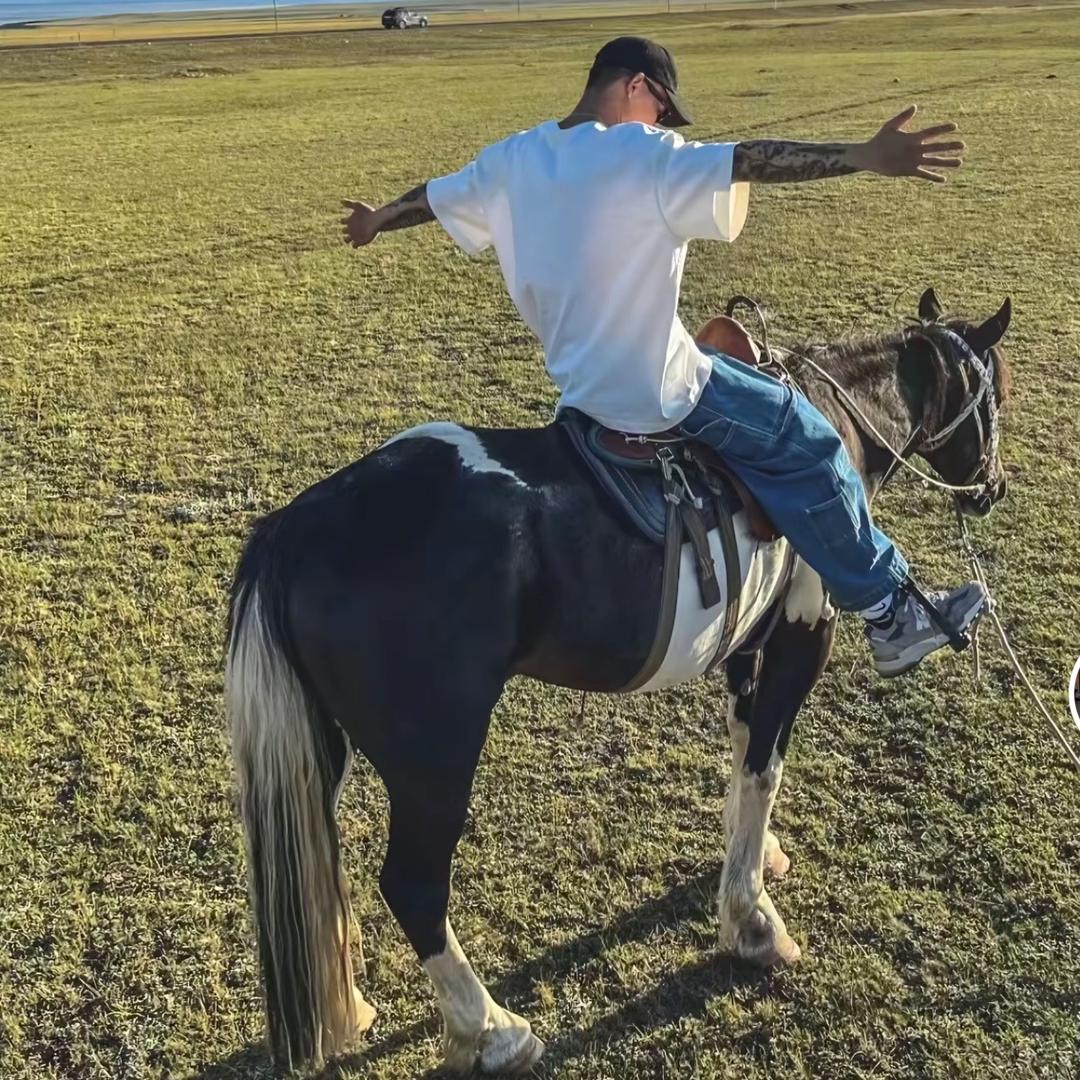 Knight🦦（正能量）