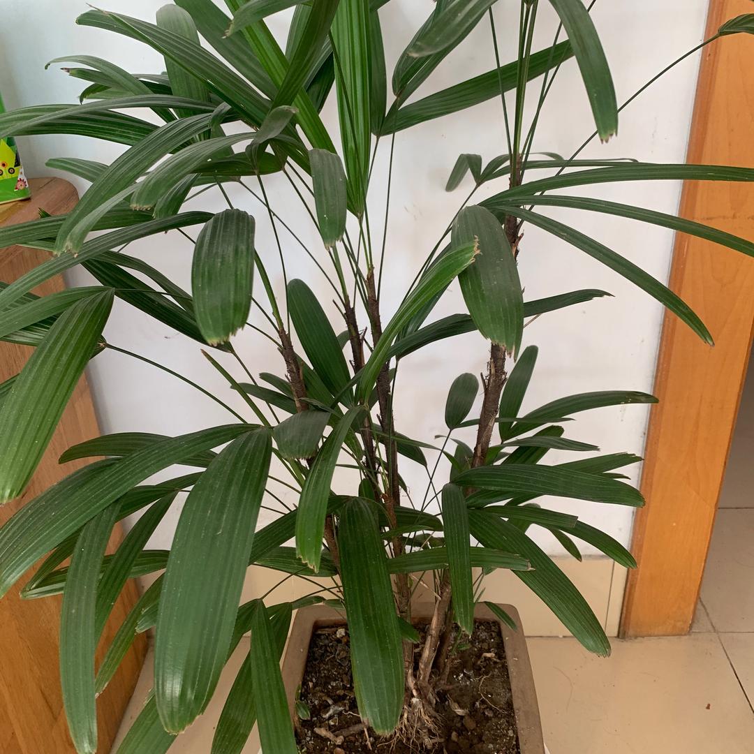 福贵