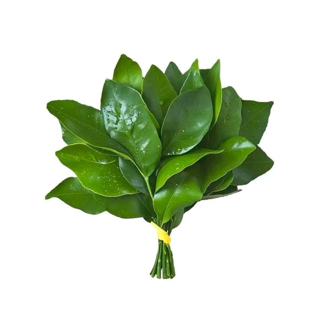 ni ni