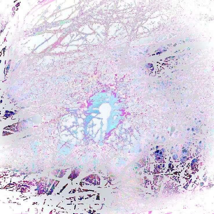 卷装小巾