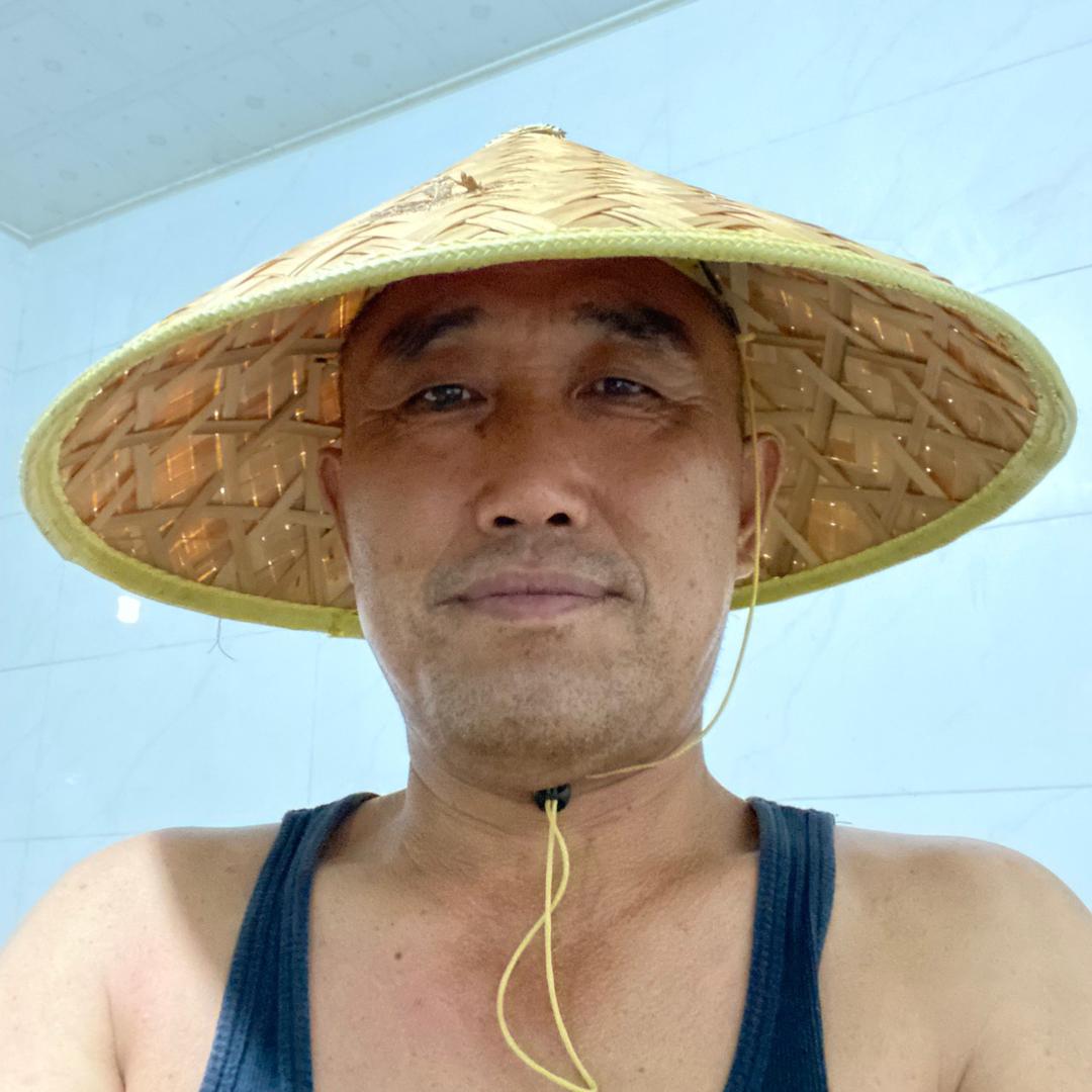 胖胖兵盆景