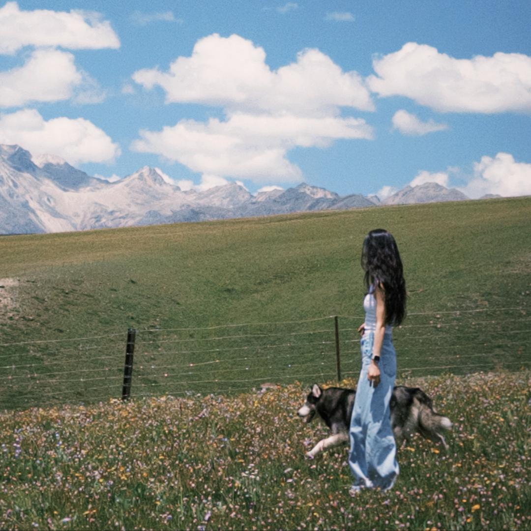 张小姐爱吃香菜